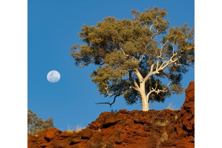 Karijini National Park: The Gem of Western Australia