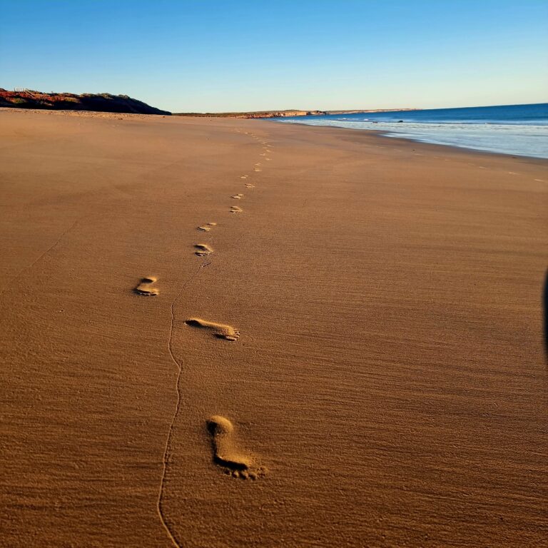 Discovering Barn Hill Station: A Hidden Gem in the Kimberley 