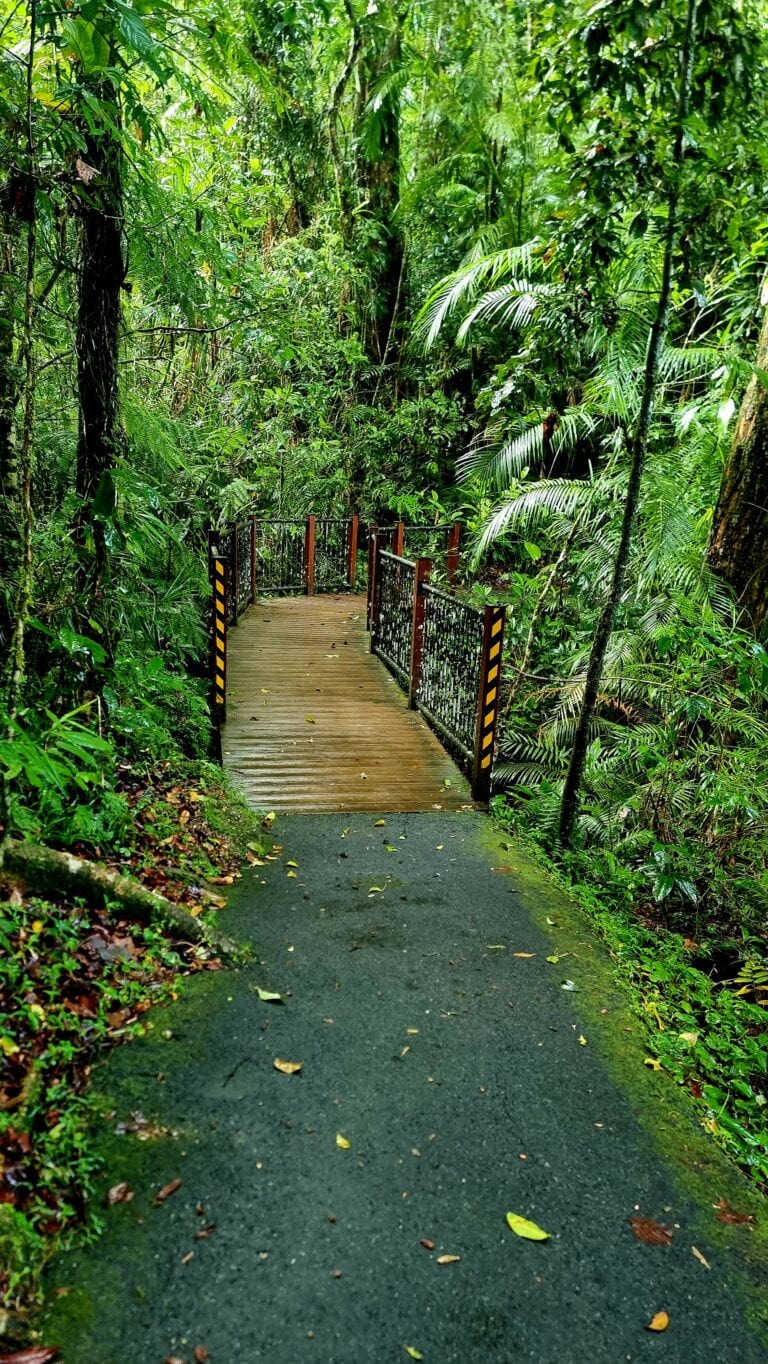 Top 7 things to do in Babinda Queensland