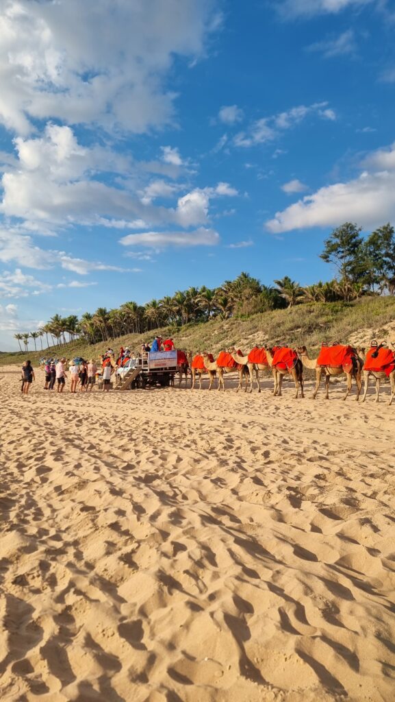 Camel rides, Broome, cable Beach, making memories