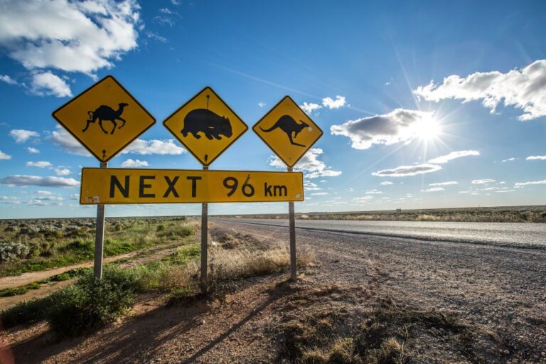 Ultimate Guide to Traveling the Nullarbor: Top Tips for 2025