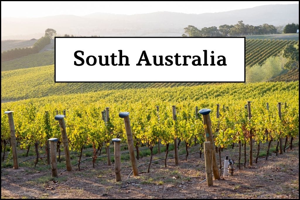 To describe South Australia. Its a link to text