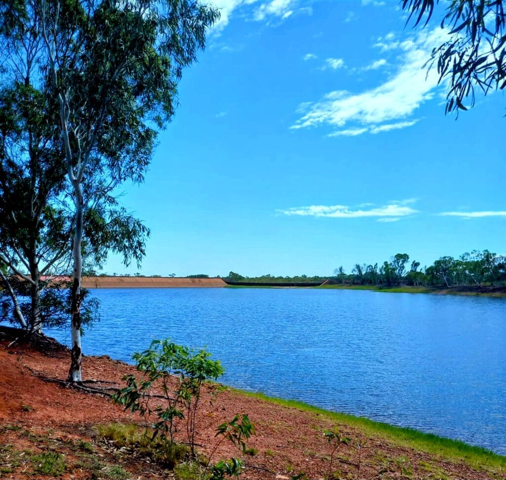 Essentail text as it shows an unexpected tourist attraction of Tennant Creek